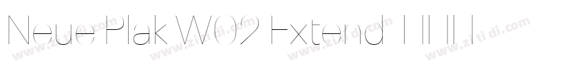 Neue Plak W02 Extend字体转换